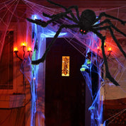 Halloween Spider Web
