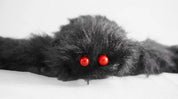 Giant Black Plush Spider Decoration