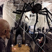 Halloween Spider Web