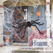 Halloween Spider Web