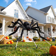 Halloween Spider Web